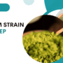 What Are The Best Kratom Strain for Sleep?