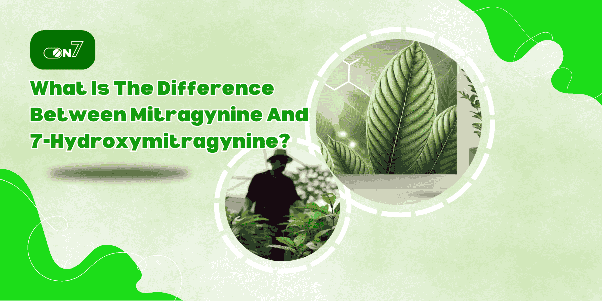 What Is The Difference Between Mitragynine And 7-Hydroxymitragynine?