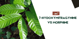7-HYDOXYMITRAGYNINE VS MORPHINE