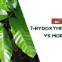 7-hydroxymitragynine vs Morphine: Difference, Uses, And Benefits