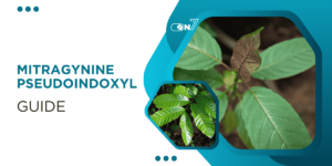 MItragynine Pseudoindoxyl