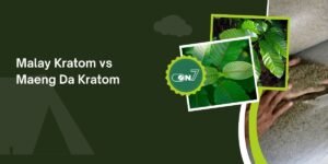 Malay Kratom vs Maeng Da Kratom