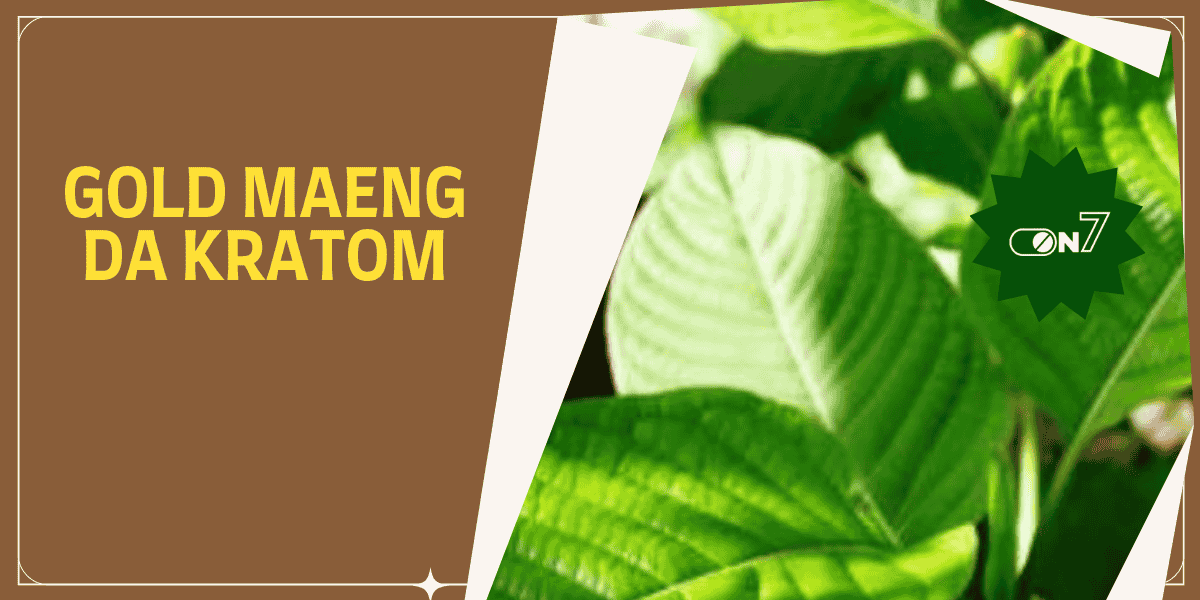 Guide to Gold Maeng Da Kratom