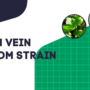 Best Green Vein Kratom Strains