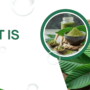 What is 7OH? Uses and Benefits Explained