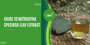 Guide to Mitragyna Speciosa Leaf Extract