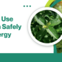 Tips To Use Kratom Safely For Energy
