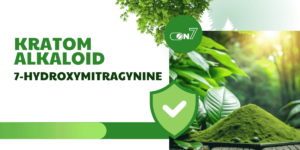 kratom alkaloid 7-hydroxymitragynine