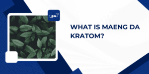 WHAT IS MAENG DA KRATOM