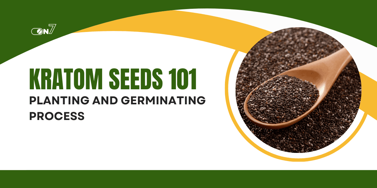 Kratom Seeds 101: Planting and Germinating Process