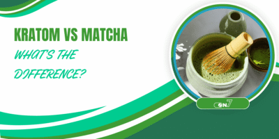 Kratom vs Matcha: What’s The Difference?