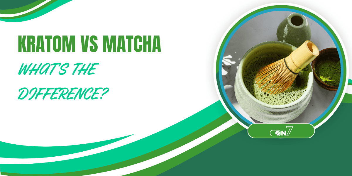 Kratom vs Matcha: What’s The Difference?