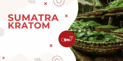 Your Complete Guide To Sumatra Kratom
