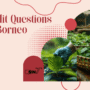 Top Reddit Questions On Red Borneo Kratom